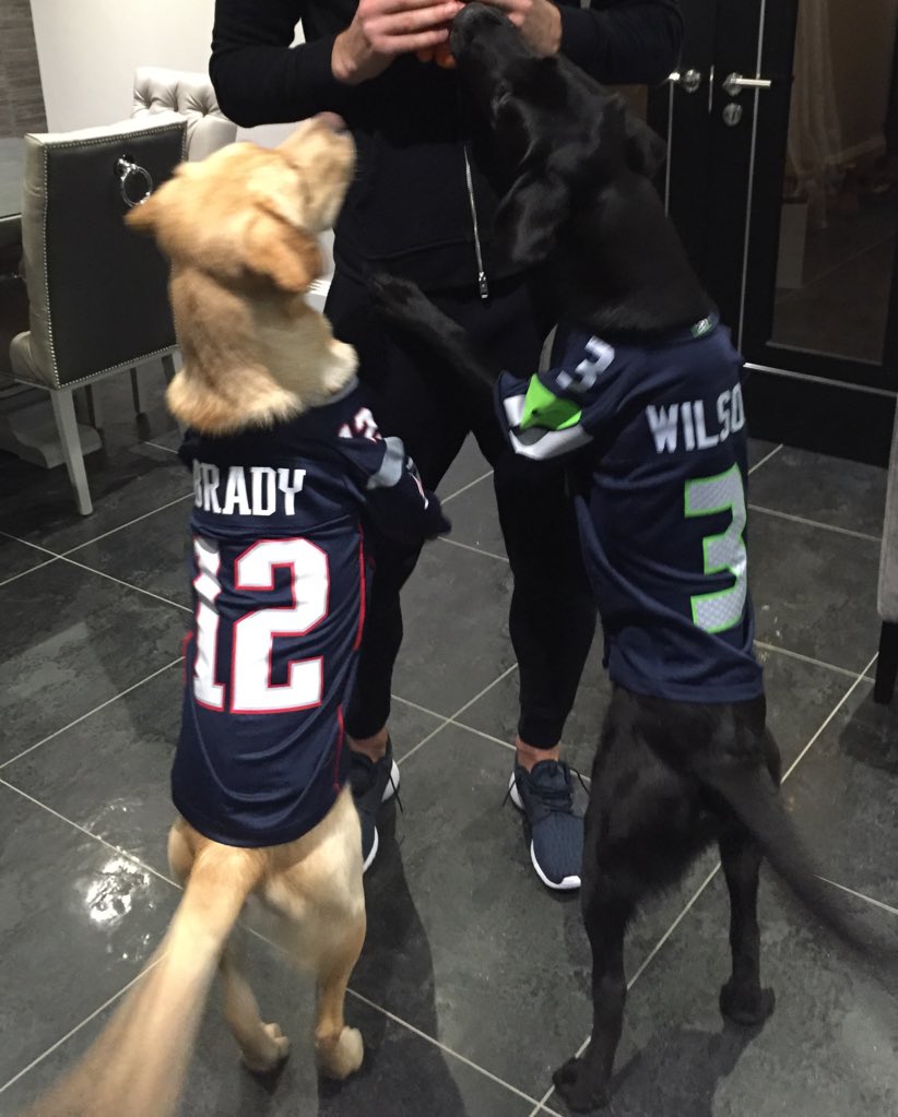 Huyền thoại Tottenham Kane đặt tên một trong những chú chó của mình theo tên người bạn và anh hùng Super Bowl Brady
